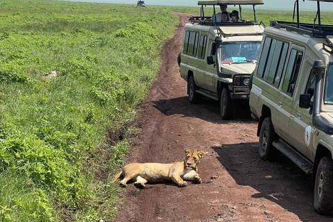 恩戈罗恩戈罗至吉力马扎罗山麓2日经济之旅恩戈罗恩戈罗至马特鲁尼和咖啡之旅（2 天经济之旅）