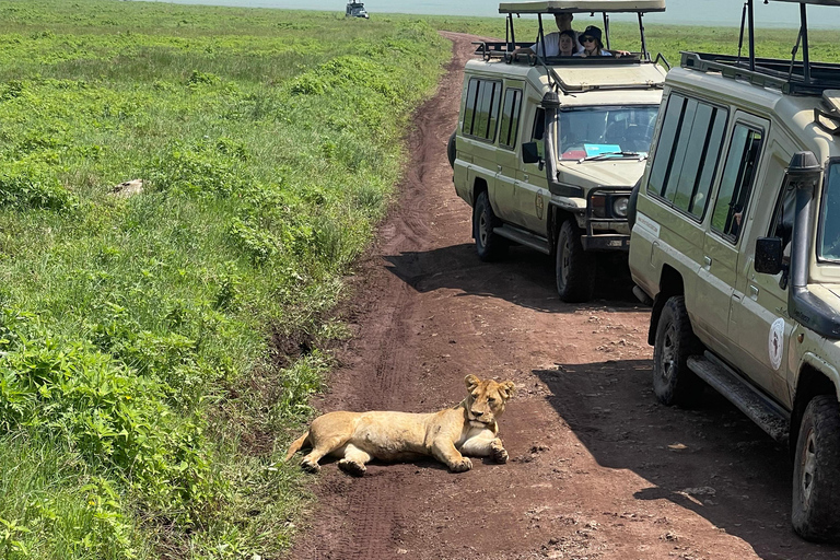 恩戈罗恩戈罗至吉力马扎罗山麓2日经济之旅恩戈罗恩戈罗至马特鲁尼和咖啡之旅（2 天经济之旅）