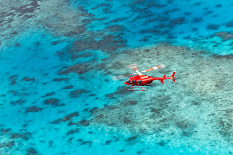 Private Great Barrier Reef and Mossman Gorge Tour