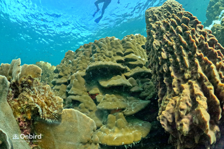 Phu Quoc: 4 Island & 2 Reefs Snorkeling Tour by Speedboat Phu Quoc: Speed Boat Tour 4 Islands - 2 Reefs Snorkeling