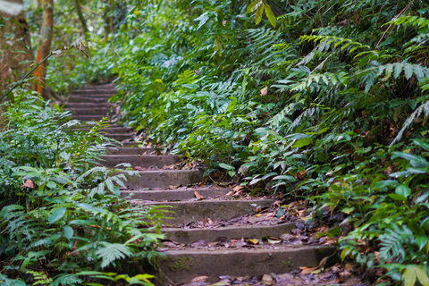 Cuc Phuong National Park - Van Long Day Trip From Hanoi