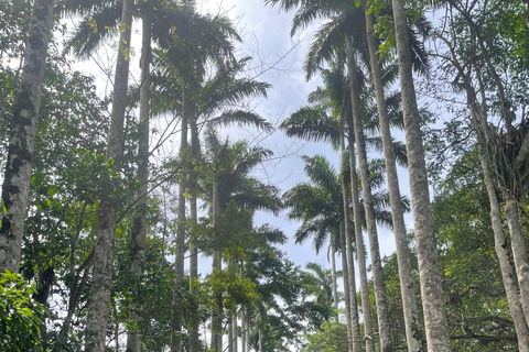 غانا: 3 أيام لمشاهدة معالم المدينة