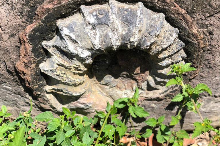 Camino Real : Randonnée Barichara-Guane + Musée Paléontologique