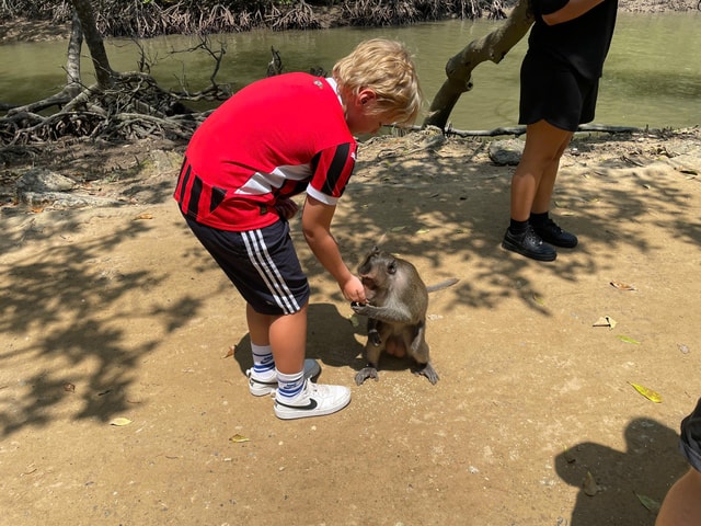 From HCM: Can Gio Eco-Wildlife & Local Community Experience