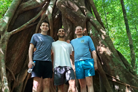 Khlong Sok: Cachoeiras de Khao Sok e caminhada de meio dia pela vida selvagemAventura compartilhada