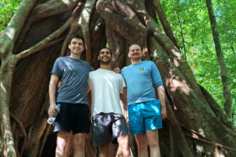 Khlong Sok: Trekking di mezza giornata alle cascate e alla fauna selvatica di Khao SokAvventura privata