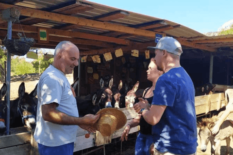 From Budva: Tour of Donkey Farm