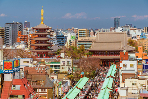 Tokyo - en halvdag Halvdagsutflykt på morgonen i liten grupp