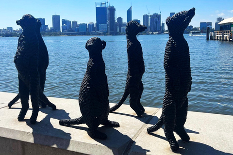 Perth: Tour panoramico con Swan River e Fremantle