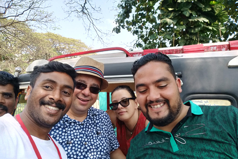 Kochi: Tuk-Tuk Tour with Cruise Ship Terminal Pickup