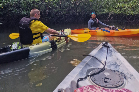 Langkawi: Kilim Karst Mangrove Kajak Äventyr