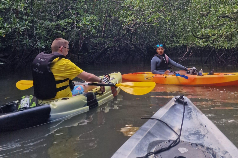 Langkawi: Avventura in kayak con le mangrovie del Carso di Kilim