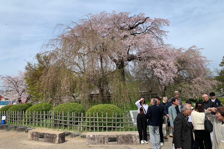 Kyoto: Tour Privado Cultural e Histórico en Español
