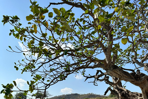 Excursão particular de 1 dia para Salalah - Principais atrações