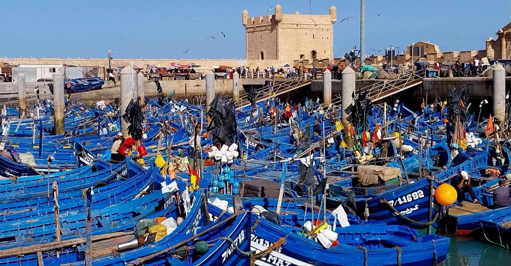 Von Marrakesch, Essaouira Private Tagesausflug - Hizvo