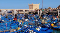 Da Marrakech, Essaouira viaggio privato di un giorno intero - Hizvo