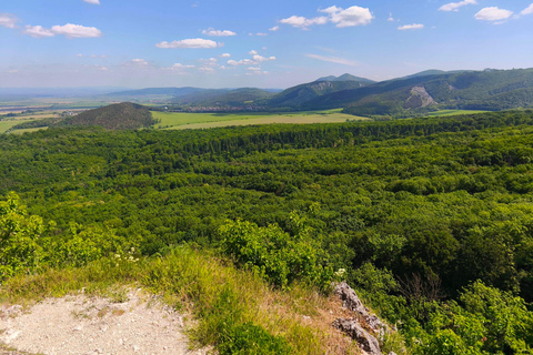 From Bratislava: Wine Tasting & Castles Guided Day Trip