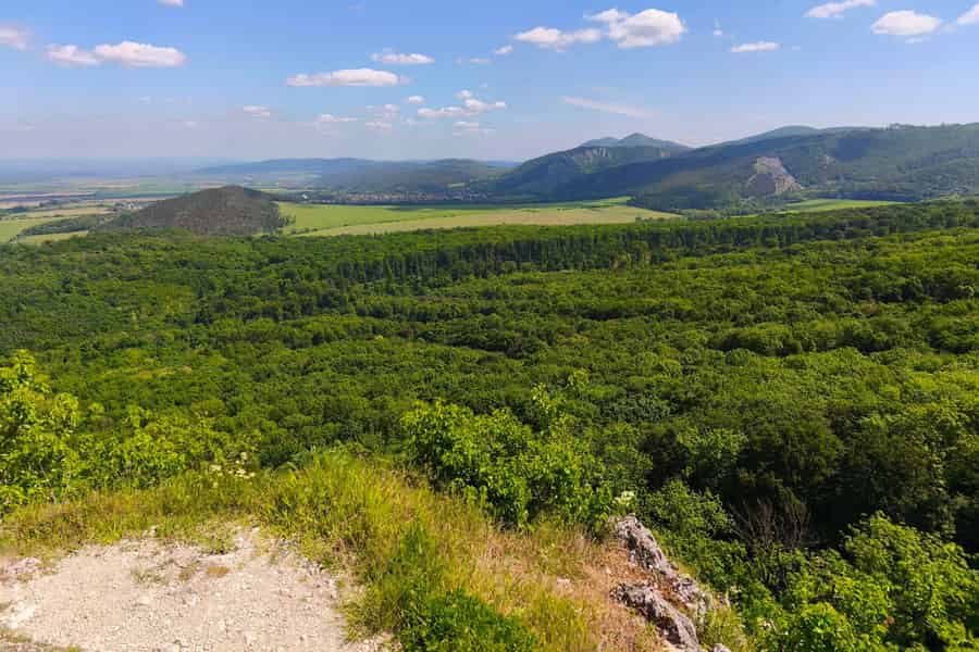 Von Bratislava aus: Weinverkostung & Burgen – geführte Tagestour. Foto: GetYourGuide Von Bratislava aus: Weinverkostung & Burgen – geführte Tagestour. Foto: GetYourGuide