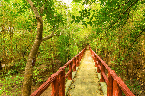 Krabi halvdagsutflykt ekotur Mangrove båttur &amp; Khanap Nam Cave