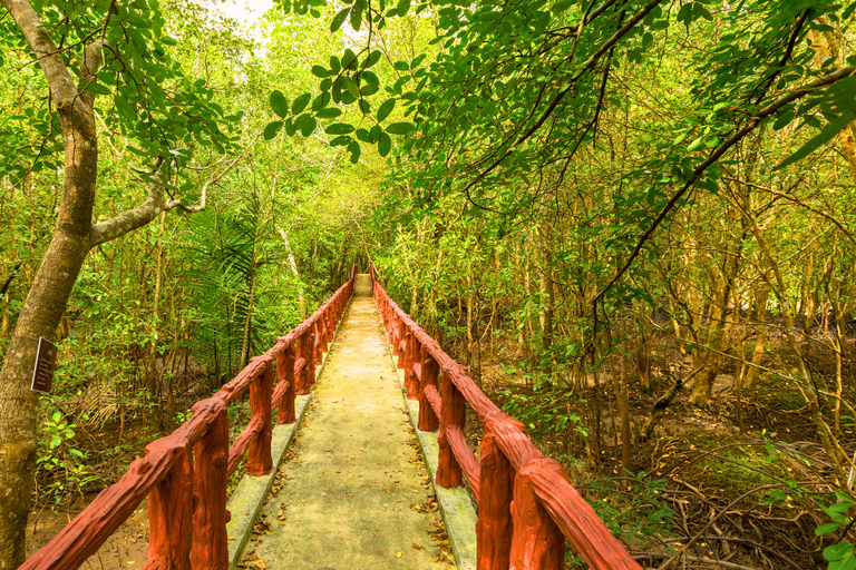 Krabi halvdagsutflykt ekotur Mangrove båttur &amp; Khanap Nam Cave