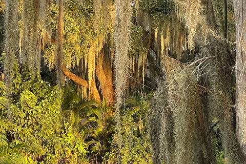 Winter Haven: Guided Boat Tour of 16 lakes w/Lunch stop.