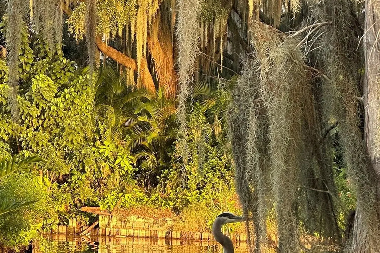 Winter Haven: Guided Boat Tour of 16 lakes w/Lunch stop.