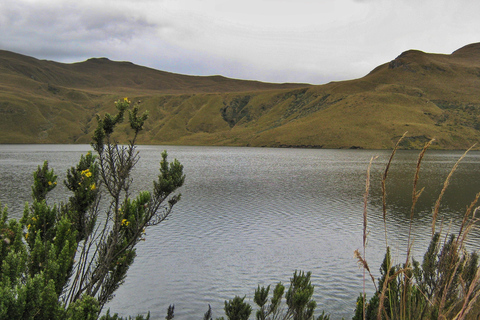 Antisana-Nationalpark - Andenkondor-Beobachtung