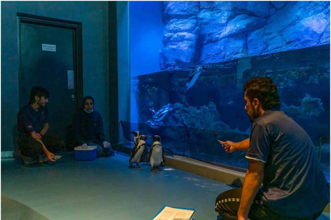 Muscat: Inträdesbiljett till Oman Aquarium