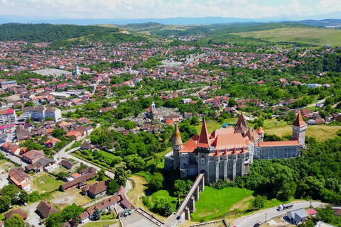 Brasov: Corvin Castle & Hateg Bison Reserve Day Trip