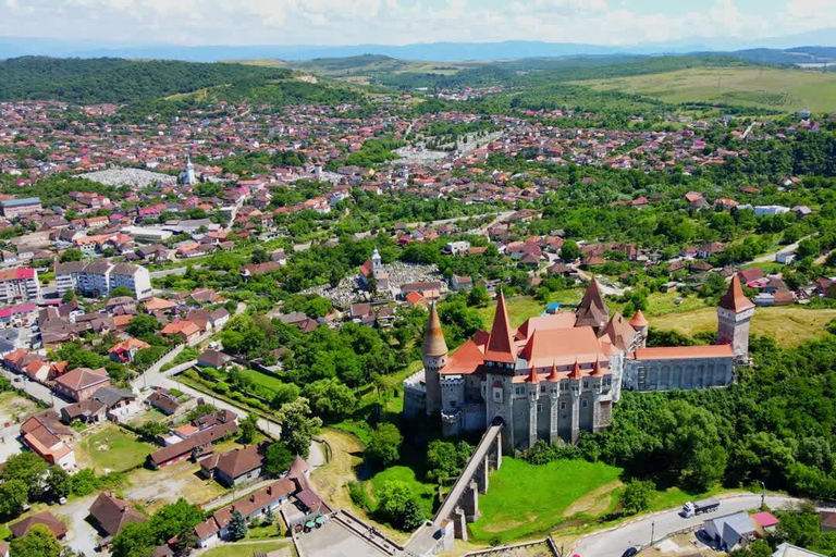 Brasov: Corvin Castle & Hateg Bison Reserve Day Trip