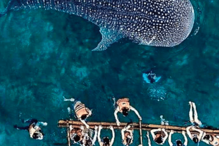 Cebu: Oslob Whale Shark, Sumilon, ruiny, kościół Simala