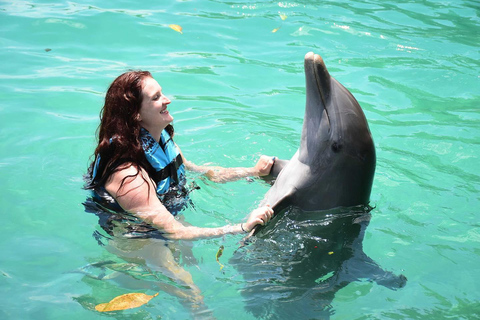 Dunn’s River Falls and Dolphin Cove Swim Adventure From Montego Bay/ Falmouth/ Trelawny
