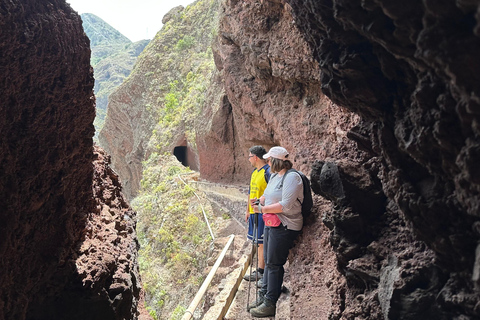 Tenerife: Anaga Hidden Gems Tour with Free Pickup Explore Anaga's hidden gem. Private tour.