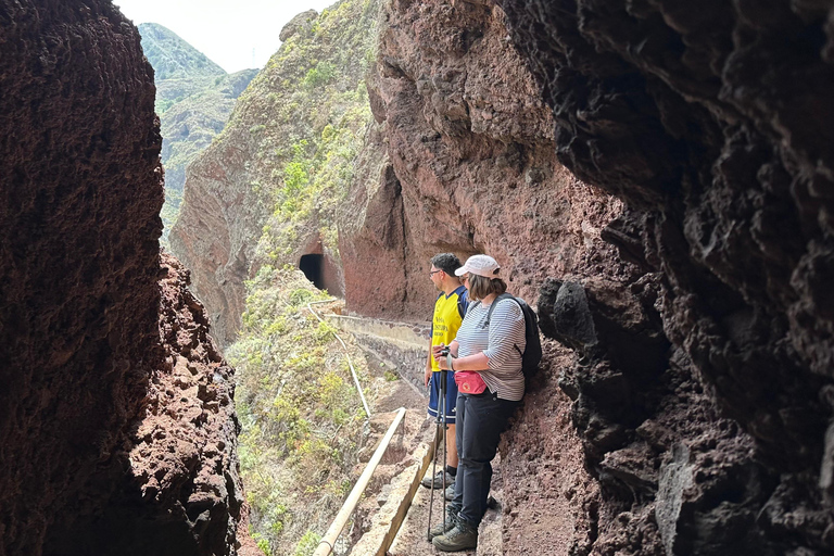 Tenerife: Anaga Hidden Gems Tour with Free Pickup Explore Anaga's hidden gem. Private tour.