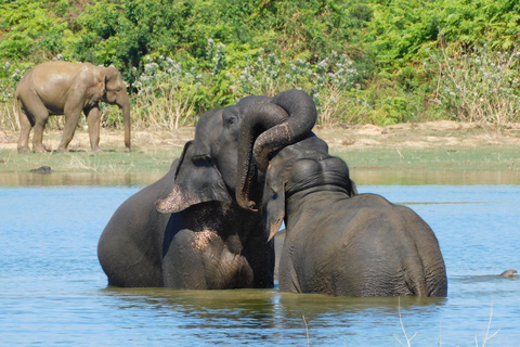 Yala & Bundala Both National Parks: One Day Safari Tour Pick up & Drop off: Yala/Tissa/Kataragama/Kirinda/Weerawila