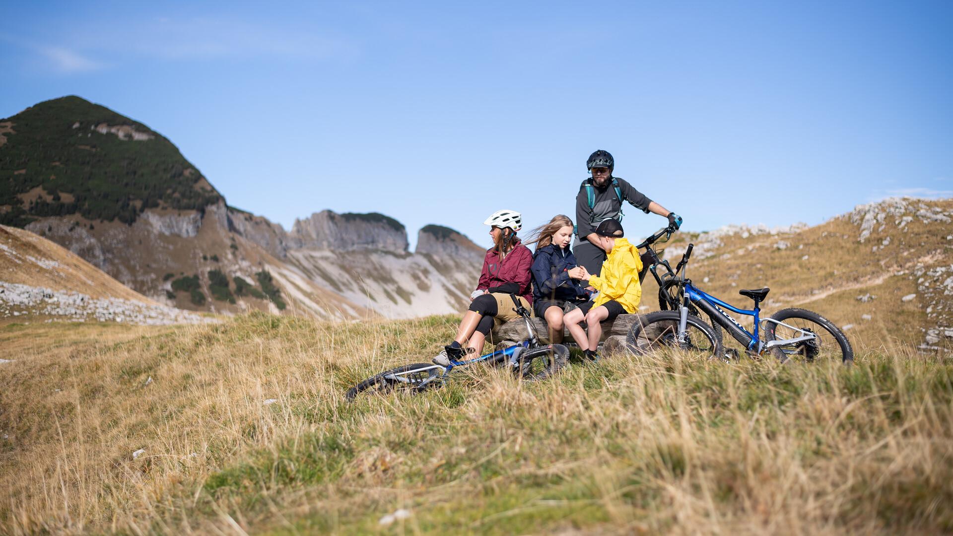 Chambéry: Verleih von elektrischen Mountainbikes