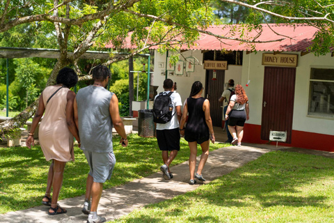 Croydon in the Mountains - Eco Farm Tour with Lunch