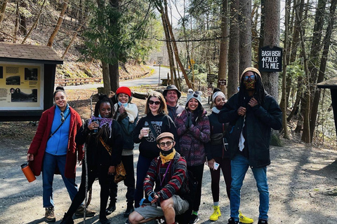 Hudson Valley: Mindful Art and Photography Walk