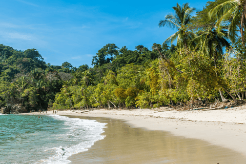 Prywatny transfer Lotnisko San José do/z Manuel Antonio