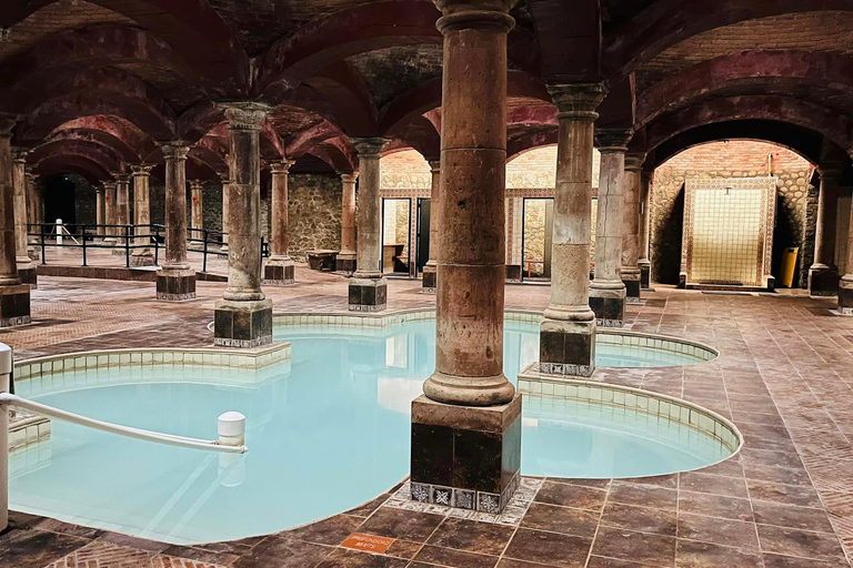 Visite &quot;Termas de San Joaquín&quot;, avec transfert et billetsMonterrey : Retraite de bien-être Termas de San Joaquín