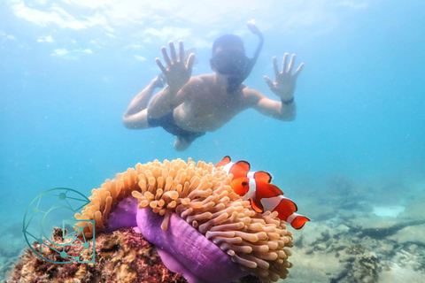 Experiência de dia inteiro de mergulho com snorkel saindo de BangkokDe Bangkok: Passeio de mergulho com snorkel na Baía de Samae Sarn com almoço