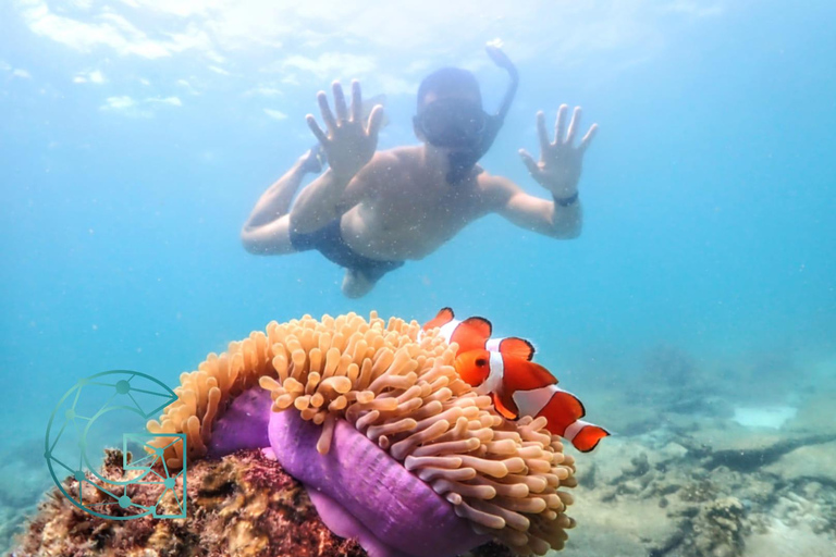 Experiência de dia inteiro de mergulho com snorkel saindo de BangkokDe Bangkok: Passeio de mergulho com snorkel na Baía de Samae Sarn com almoço