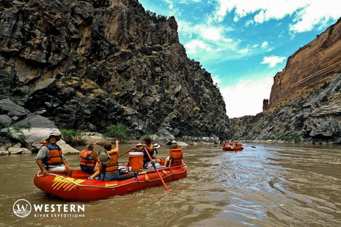 Cañón Westwater: Aventura de rafting en aguas bravas de un día completoSin servicio de recogida