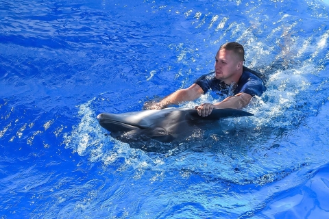 Hurghada: familiezwemmen met dolfijn