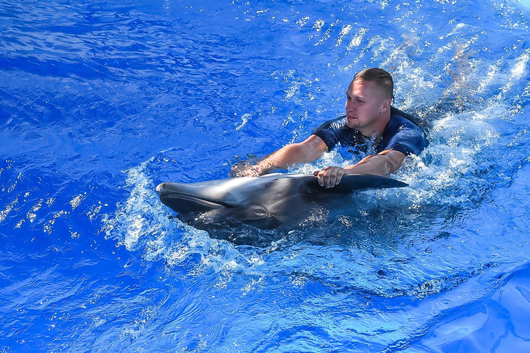 Hurghada: Nadar en familia con delfines