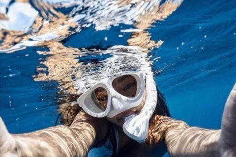Lovina: Dolphin Observe & Snorkeling with Optional GoPro Sharing Dolphin Tour With GoPro, Transfer Hotel North Area