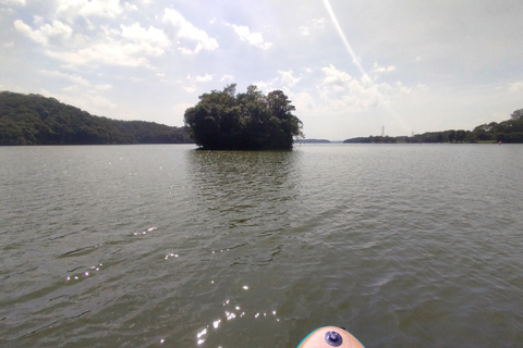 Experiência de paddleboarding e churrasco na represa Billings