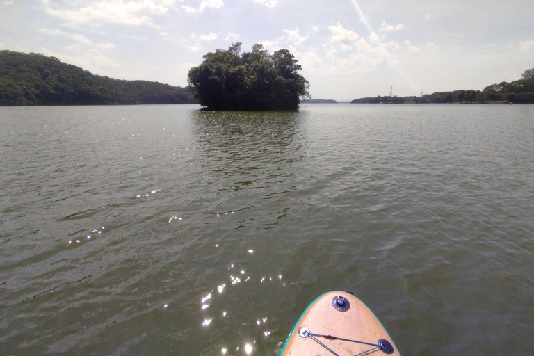 Esperienza di paddleboarding e barbecue nel lago artificiale di Billings