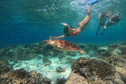 Gili Trawagan: Snorkling och båttur med glasbotten på 3 öar