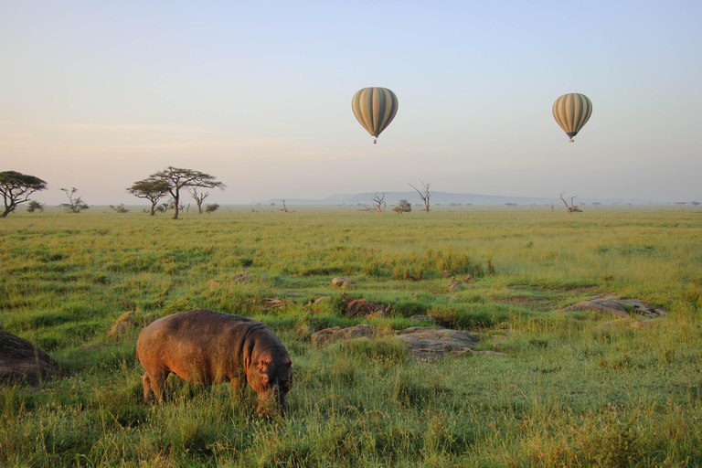 Safari w północnej Tanzanii z Aruszy (5 dni).Północna Tanzania – niedroga wycieczka safari z Aruszy (5 dni)